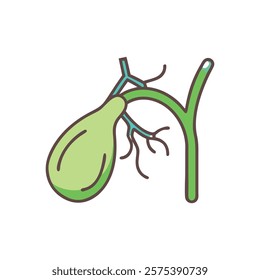 Stylized Icon of Gallbladder Anatomy