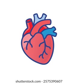 Stylized Icon of Heart Anatomy