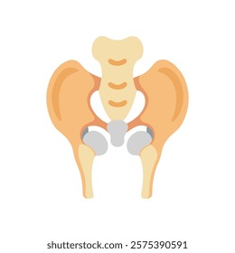 Stylized Icon of Hip Joint Anatomy