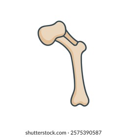 Stylized Icon of Humerus Anatomy