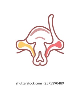 Stylized Icon of Inferior Nasal Concha Anatomy