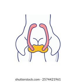 Stylized Icon of Lesser Sciatic Notch Anatomy