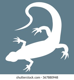 Stylized icon of  lizard in white on a colored background