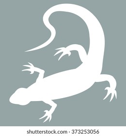 Stylized icon of lizard in white on a colored background