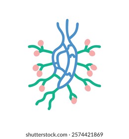 Stylized Icon of Lymph Node Anatomy