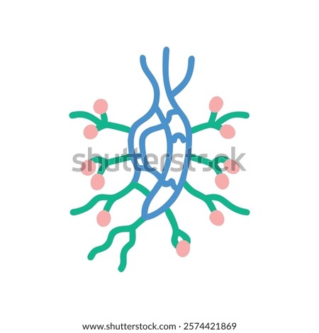 Stylized Icon of Lymph Node Anatomy