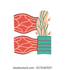 Stylized Icon of Muscular Tissue Anatomy