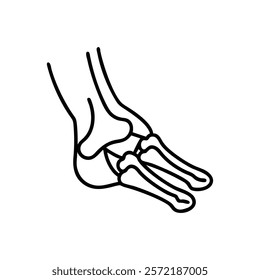 Stylized Icon of Navicular Bone Anatomy