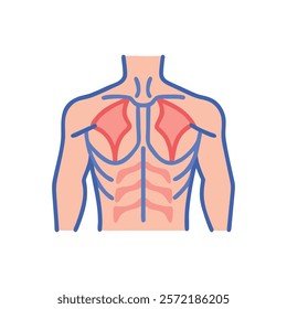 Stylized Icon of Pectoralis Major Muscle Anatomy