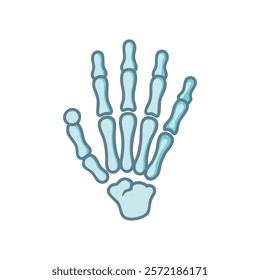 Stylized Icon of Phalanges Anatomy