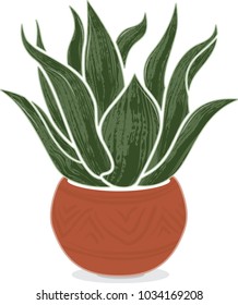 Stylized illustration of an agave plant in a Mexican terra-cotta pot with subtle decorations.  Isolated on white background. 