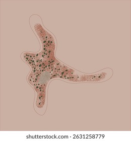 Stylized illustration of Amoeba proteus with a soft pink background. Cytoplasm filled with clustered red and dark green speckles and a grainy central core