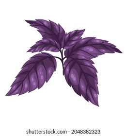 Stylized illustration of basil. Image for design or decoration.