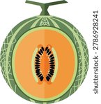 A stylized illustration of a cantaloupe melon sliced open to reveal its vibrant orange flesh and seeds.