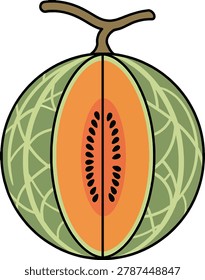 A stylized illustration of a cantaloupe melon sliced vertically to reveal its vibrant orange flesh and seeds.