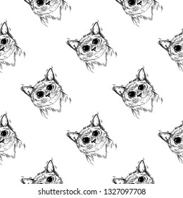 Stylized illustration cat with beautiful cute eyes. Kawaii. Template for cards and any printing products, printing on clothing. Vector illustration.