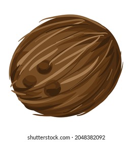 Stylized illustration of coconut. Image for design or decoration.
