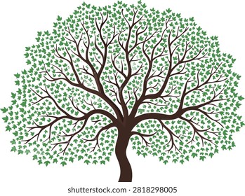 Stylized illustration of a deciduous tree with a green leafy canopy, environment