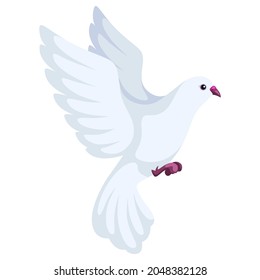 Stylized illustration of dove. Image for design or decoration.