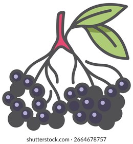 Ilustración estilizada de saúcos con hojas, gráfico de Vector