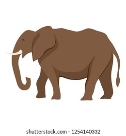 Stylized illustration of elephant. Wild African savanna animal on white background.