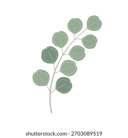 A stylized illustration of a eucalyptus branch with round, green leaves.