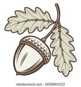 A stylized illustration features an acorn and two oak leaves in neutral tones with distinct brown outlines on a white background.