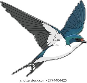 Stylized illustration of a flying swallow bird with blue and white plumage small bird white background sky blue dark light wildlife illustration movement ornithology graceful