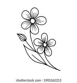 Stylized Illustration Forgetmenot Springsummer Flower Drawn Stock ...