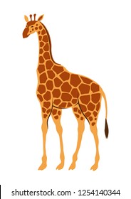 Stylized illustration of giraffe. Wild African savanna animal on white background.