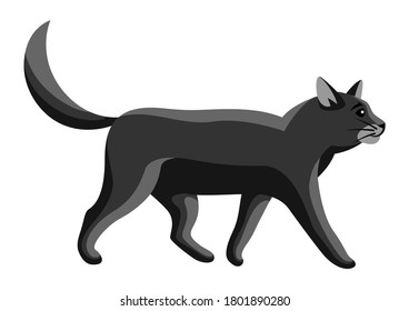 Stylized illustration of going cat. Image of cute kitten pet.
