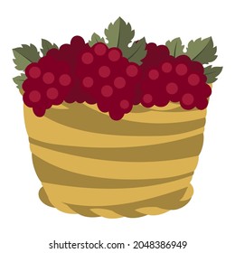 Stylized illustration of grapes basket. Image for design or decoration.