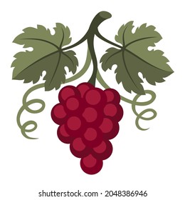 Stylized illustration of grapes. Image for design or decoration.