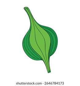 A stylized illustration of a green plant bulb with layered leaves and a stem, isolated on a white background.
