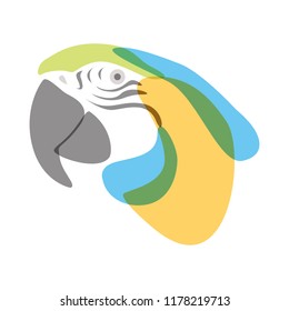 Stylized illustration of a Macaw’s head with minimalist watercolor effect