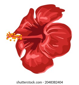 Stylized illustration of hibiscus flower. Image for design or decoration.
