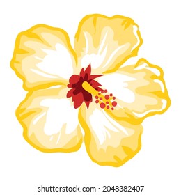 Stylized illustration of hibiscus flower. Image for design or decoration.