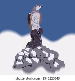 Stylized illustration, the image of a bird of prey. Animated game character.