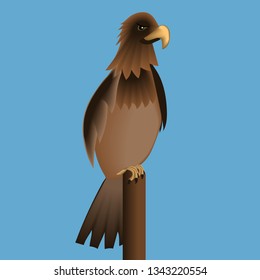 Stylized illustration, the image of a bird of prey. Animated game character.