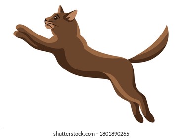 Stylized illustration of jumping cat. Image of cute kitten pet.