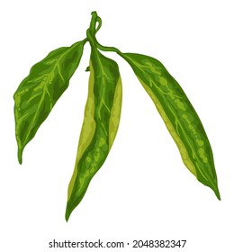 Stylized illustration of leaves. Image for design or decoration.