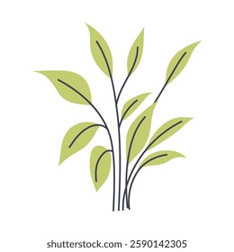 Stylized illustration of light green plant. Perfect for creating minimalist and modern plant designs