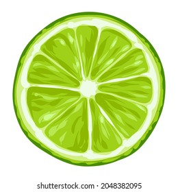 Stylized illustration of lime. Image for design or decoration.