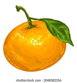 Stylized illustration of mandarin. Image for design or decoration.
