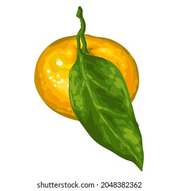 Stylized illustration of mandarin. Image for design or decoration.