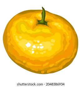 Stylized illustration of mandarin. Image for design or decoration.