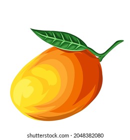 Stylized illustration of mango. Image for design or decoration.