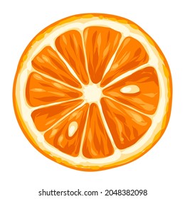 Stylized illustration of orange. Image for design or decoration.