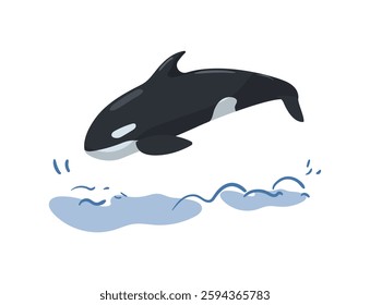 Stylized illustration of an orca jumping out of the water, isolated on a white background.