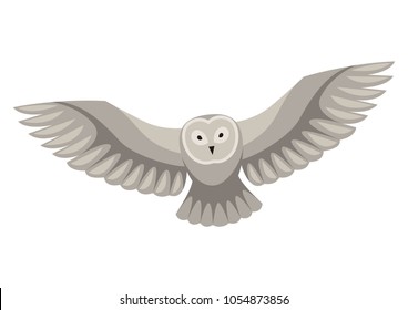 Stylized illustration of owl. Woodland forest animal on white background.